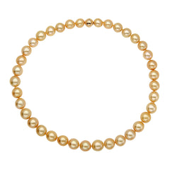 10-11mm Golden South Sea Pearl Strand